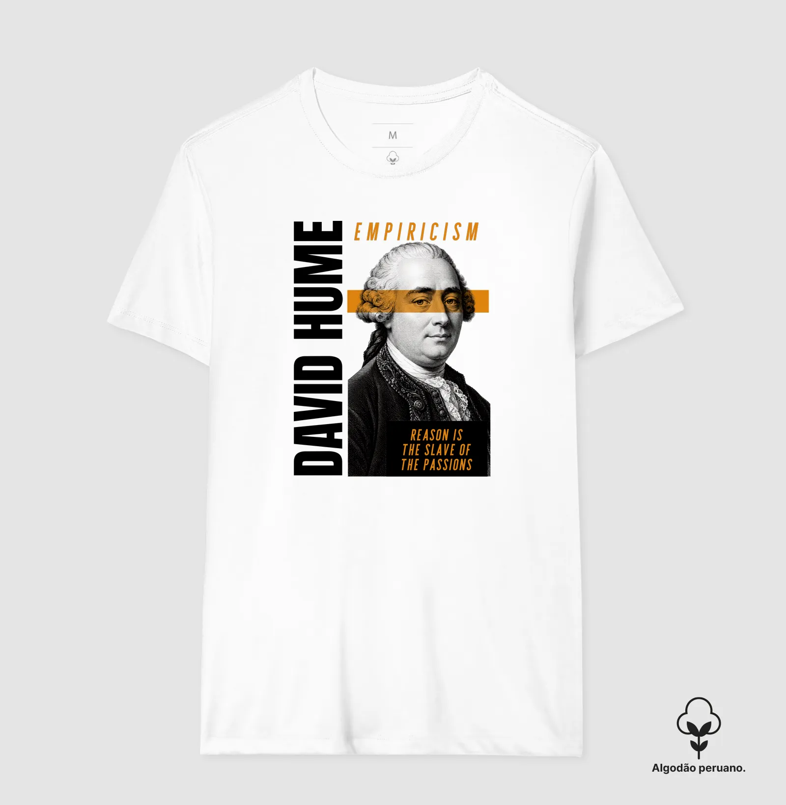 David Hume – Philosopher Kings | Empirismo - Imagem 2