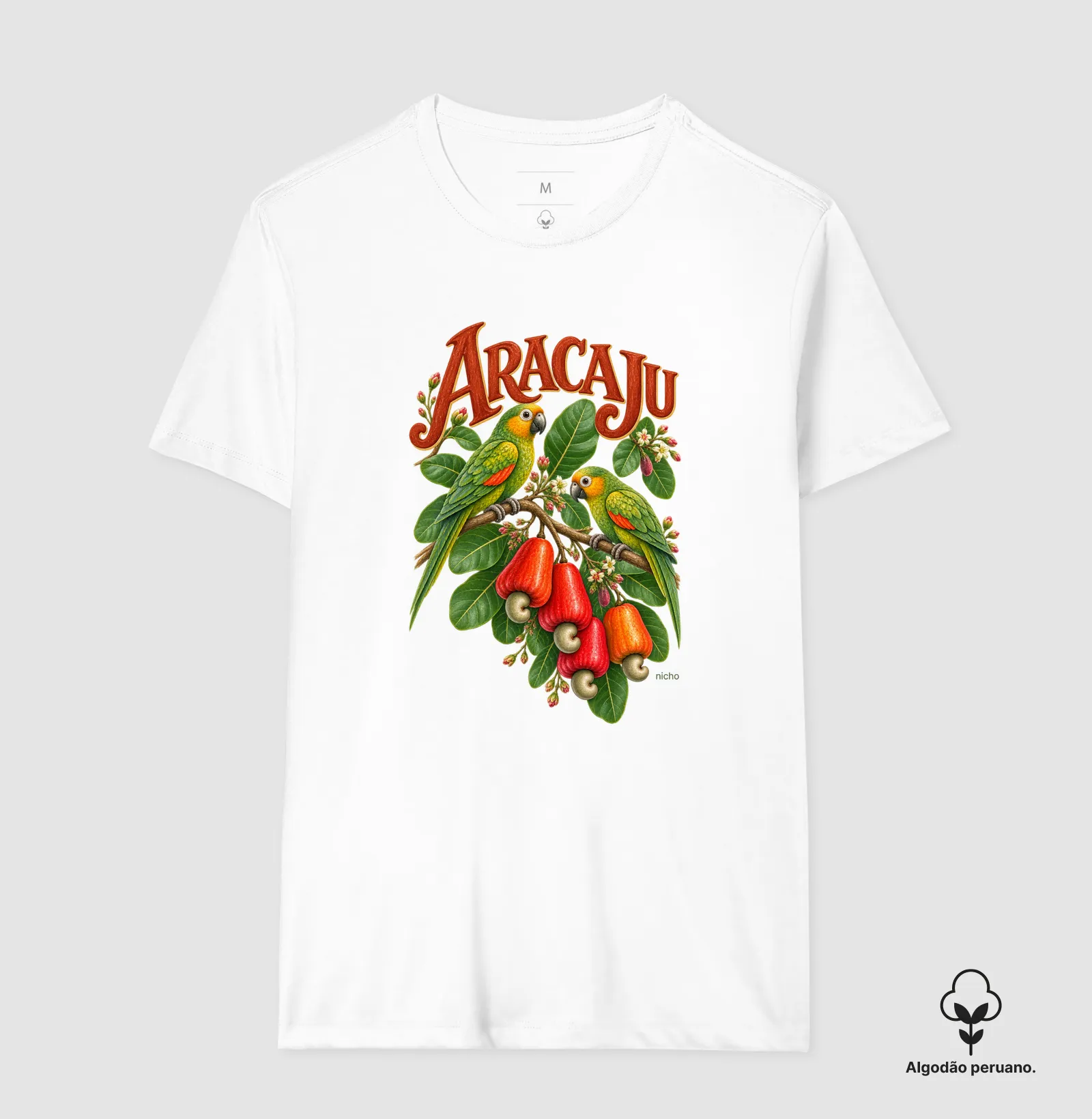 Aracaju - Cajueiro dos Papagaios - Imagem 3