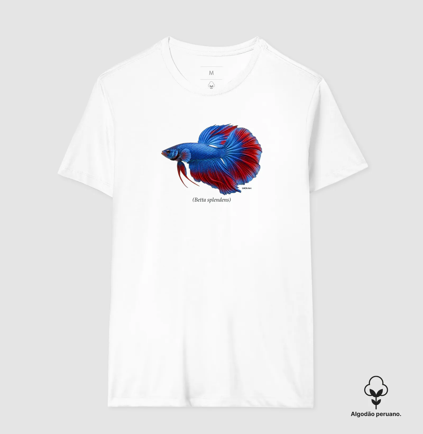 Betta - Imagem 3