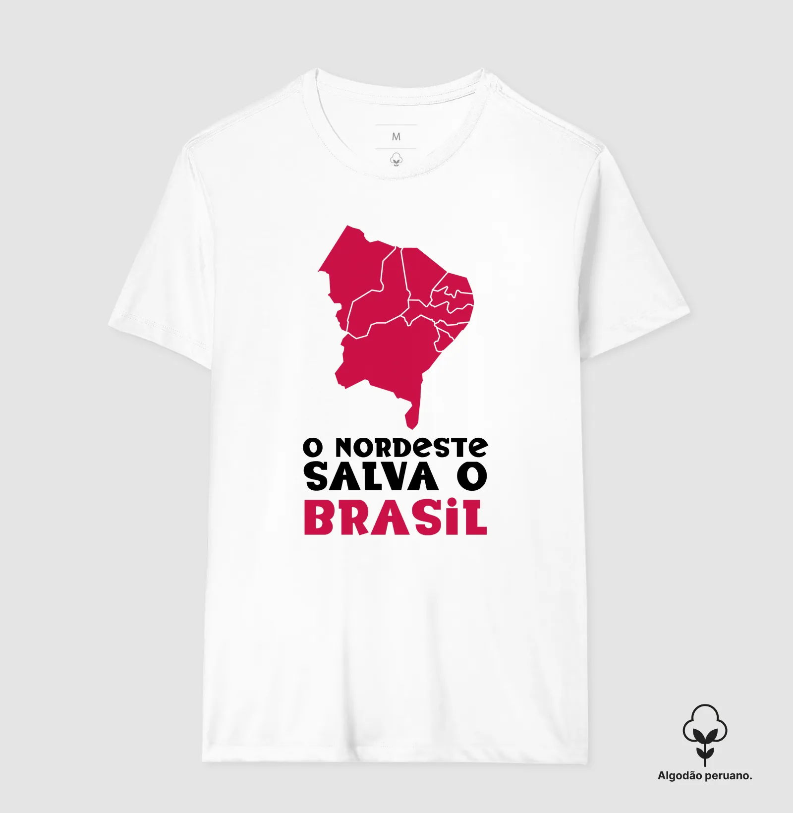 O nordeste salva o Brasil - Imagem 2