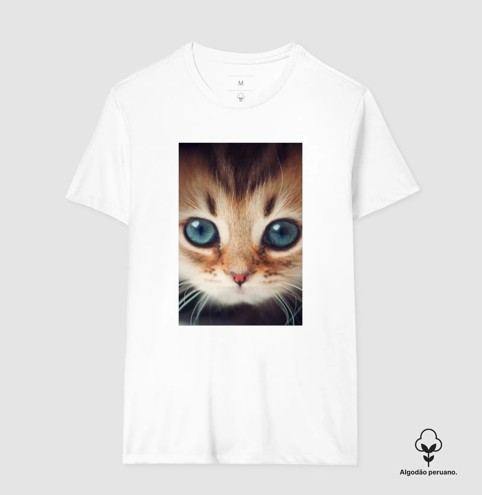 Gatinho - Imagem 4