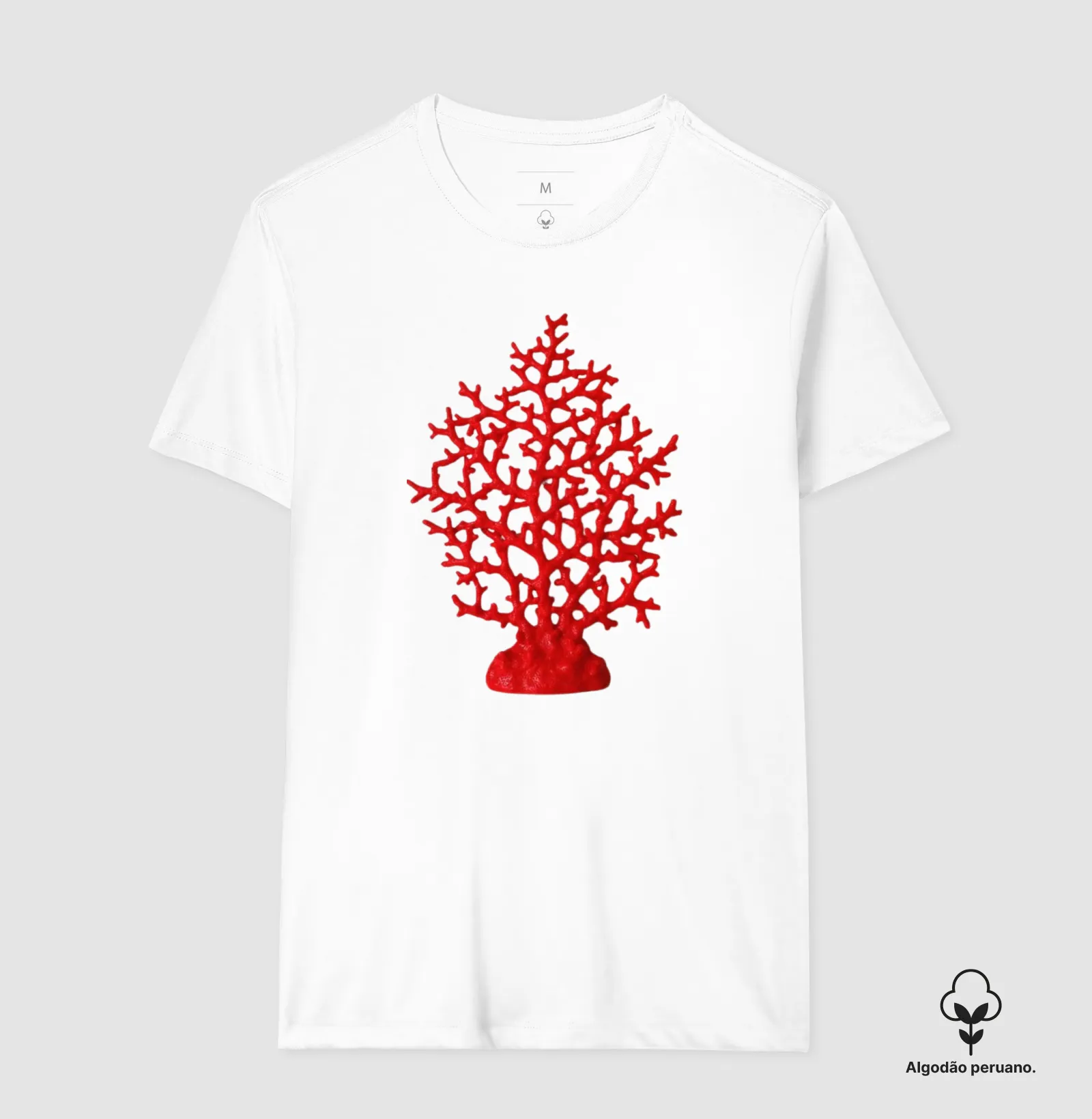 Coral  - Imagem 5