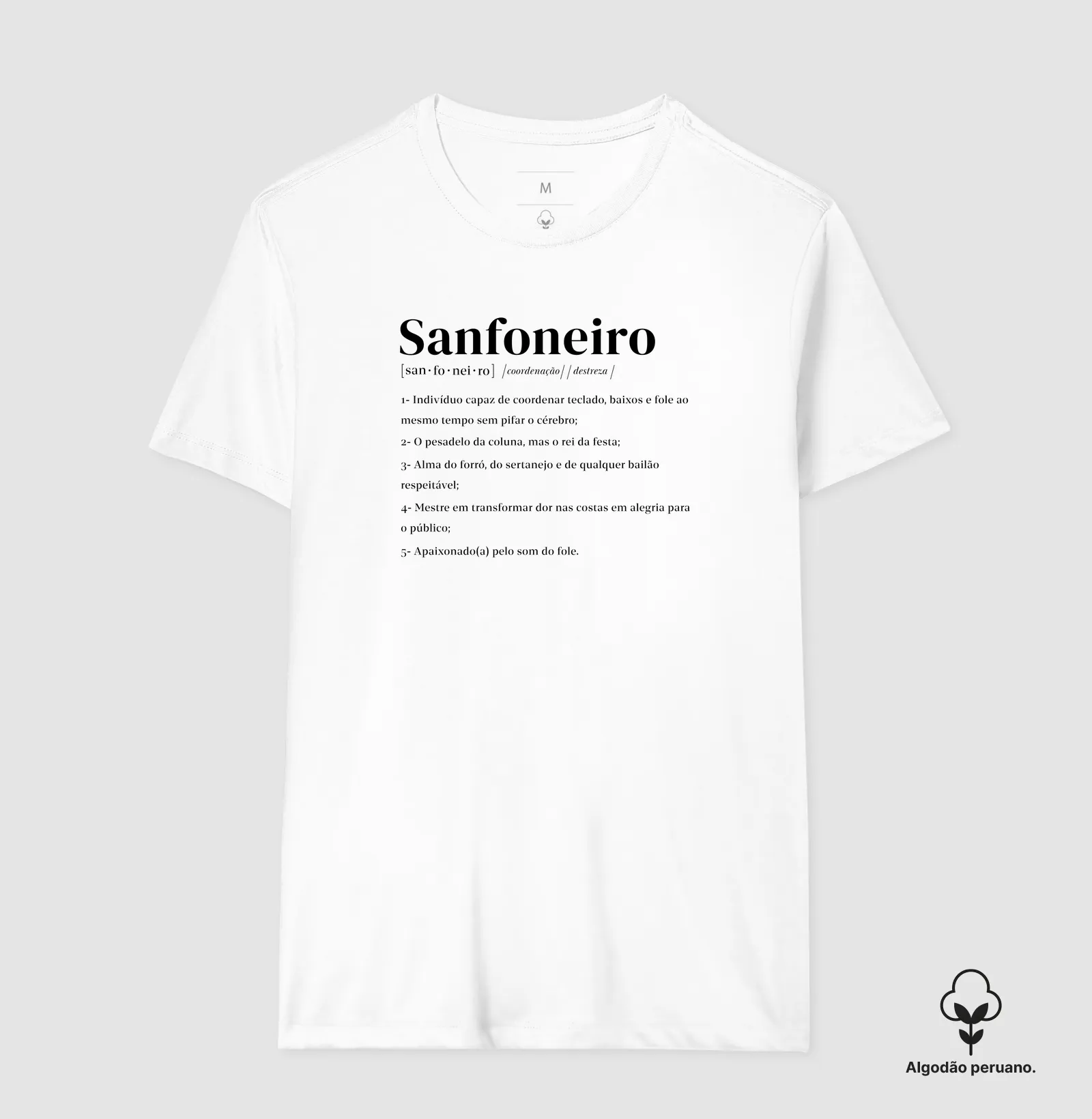 Definição de Sanfoneiro - Imagem 3