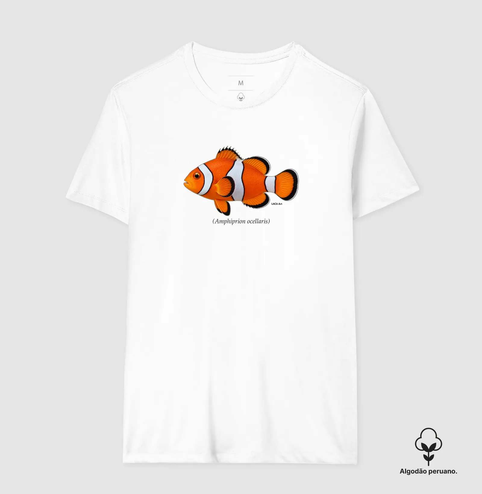 Peixe-Palhaço - Imagem 6