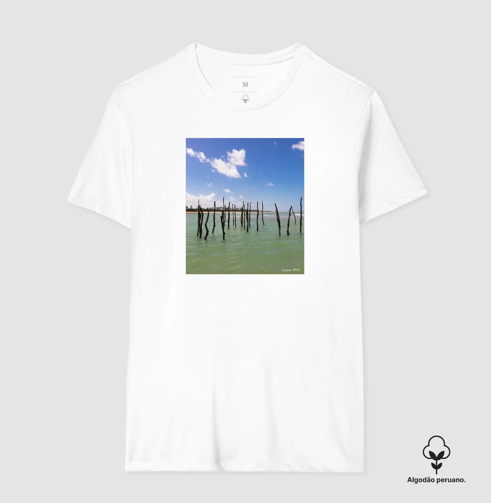 Camisa 6