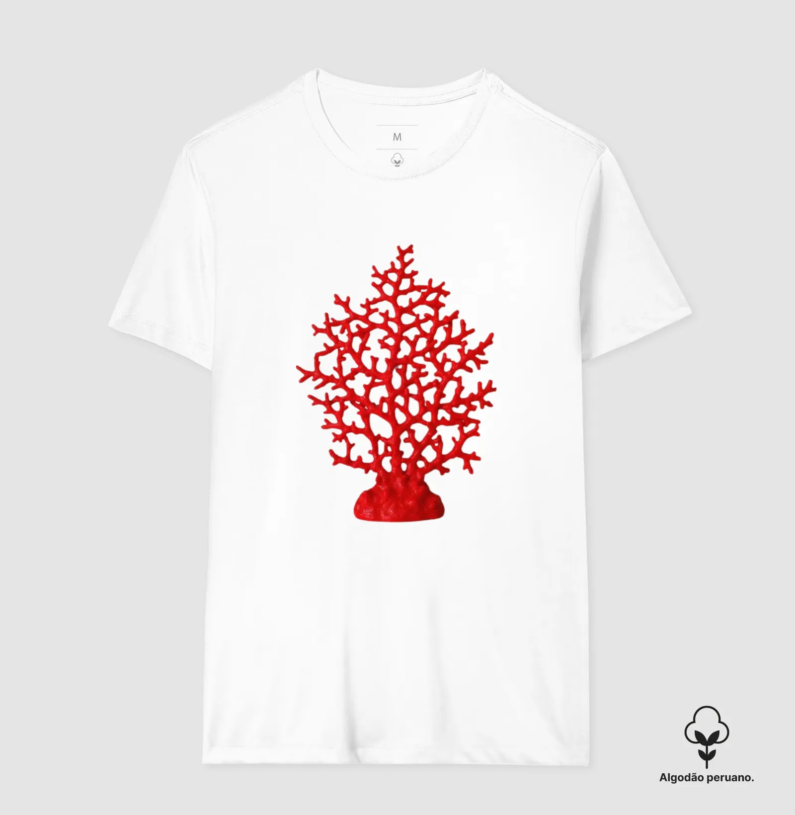 Coral - Imagem 4