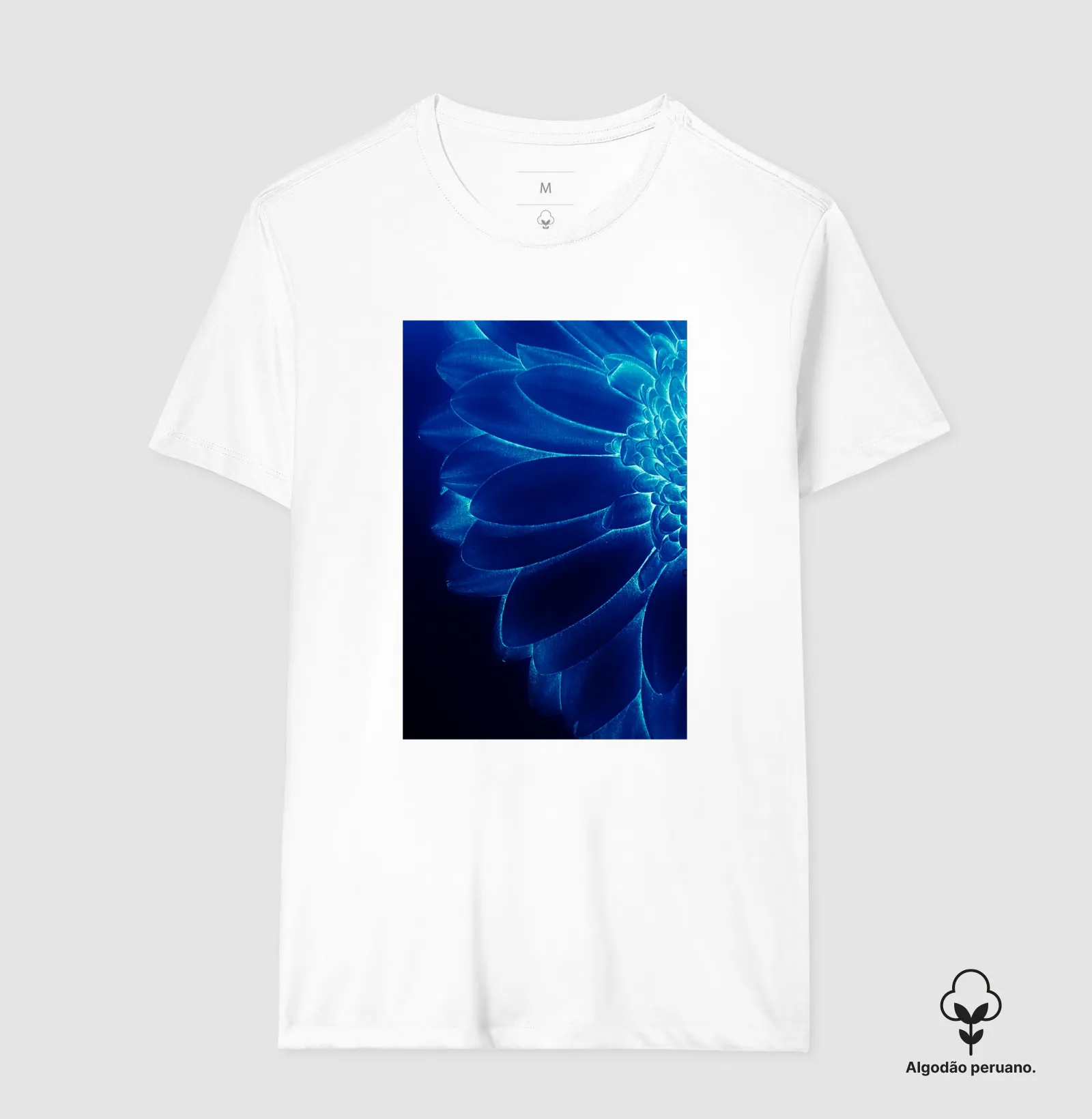 Flor azul - Imagem 3