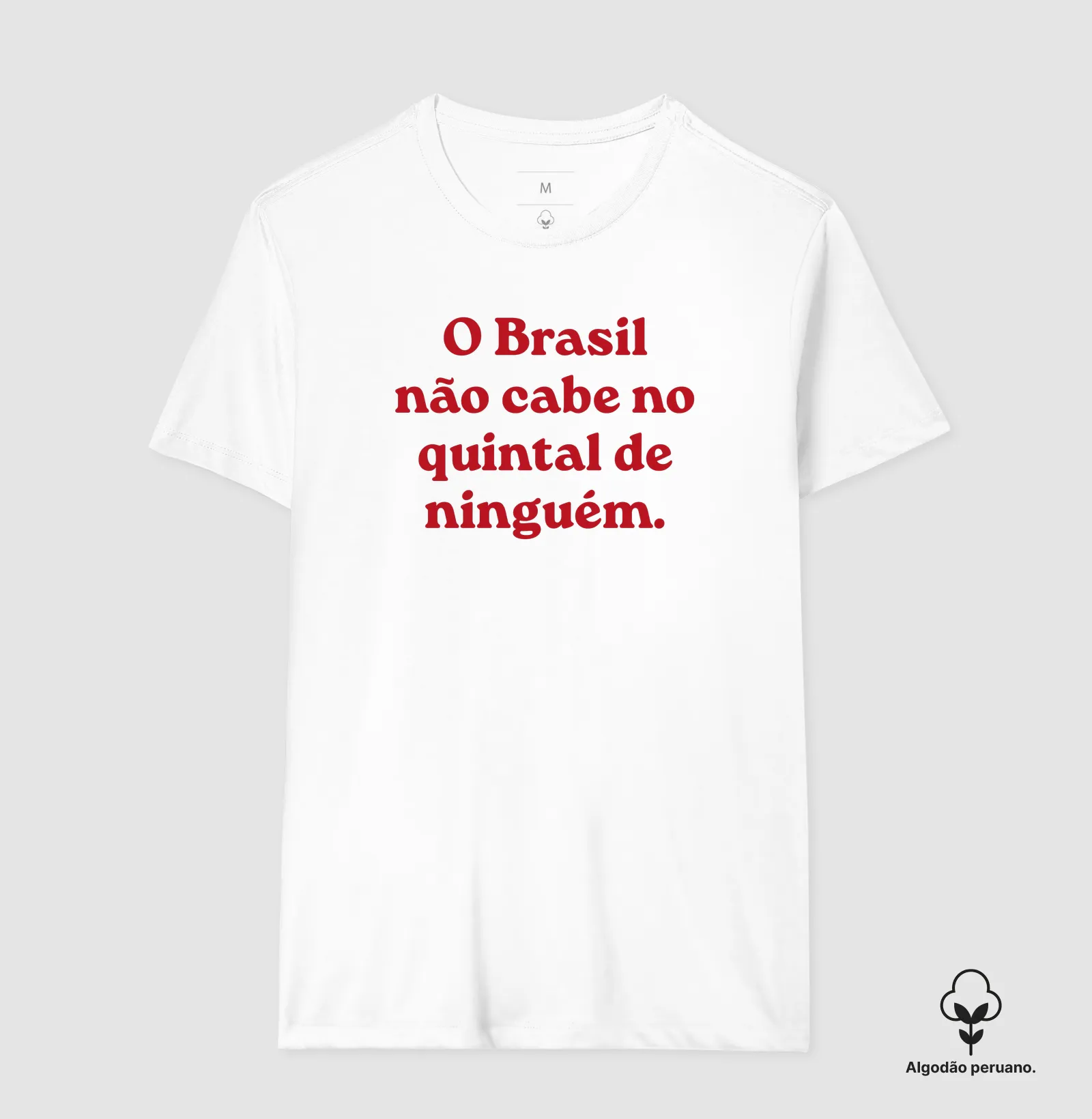 O Brasil não cabe no quintal de ninguém - Imagem 2