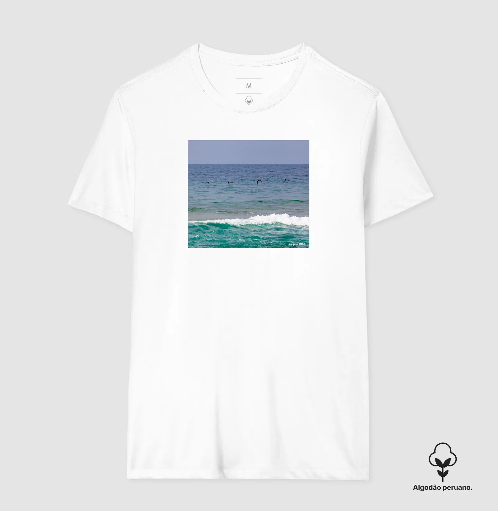 Camisa 2