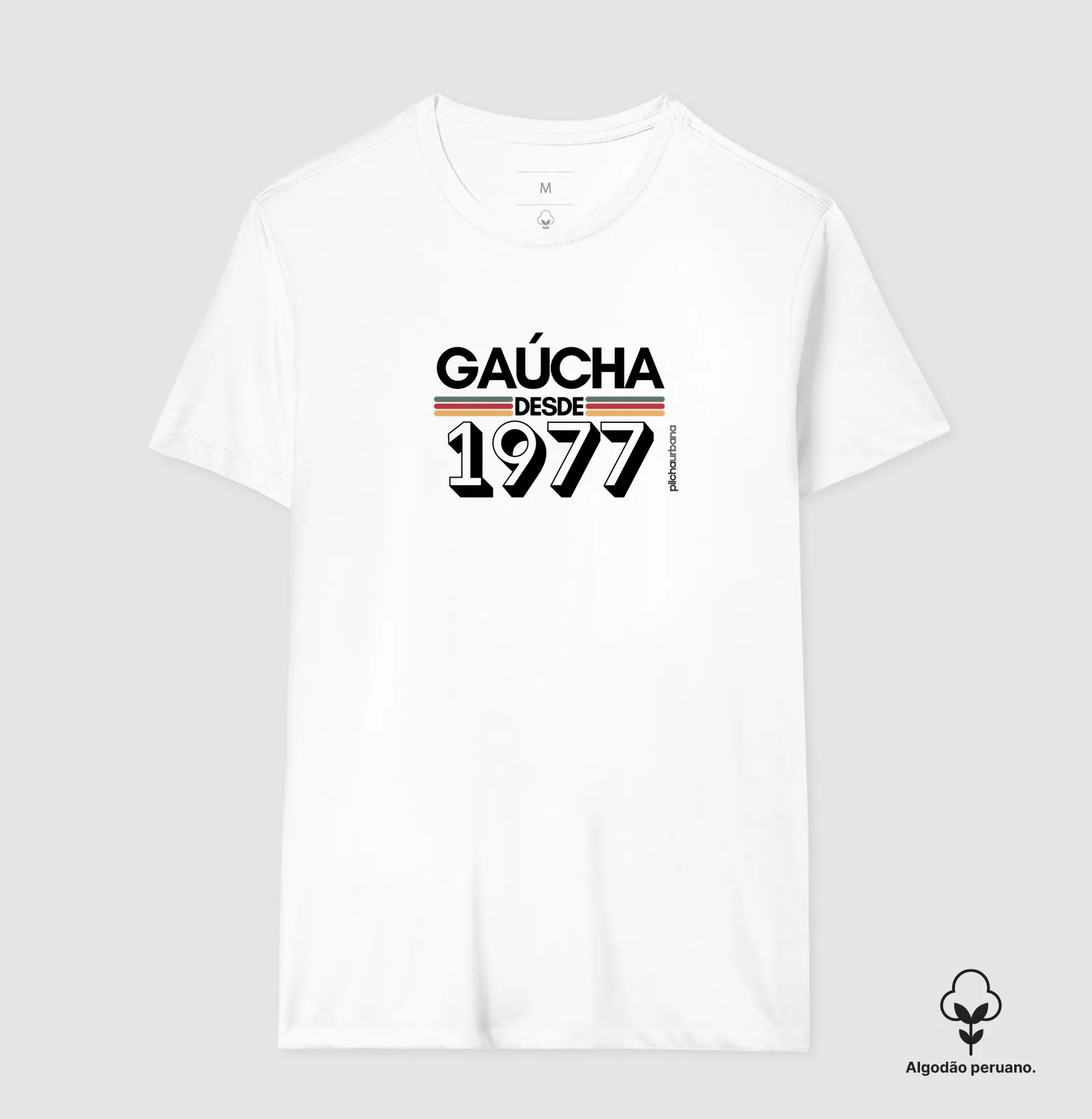 1977 - Imagem 8
