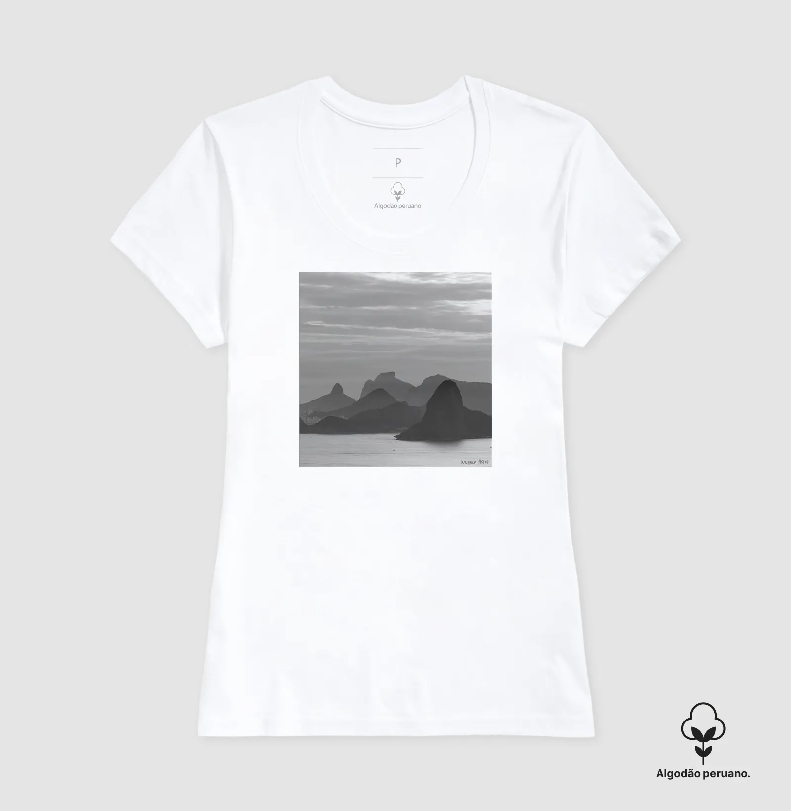 Camisa 1