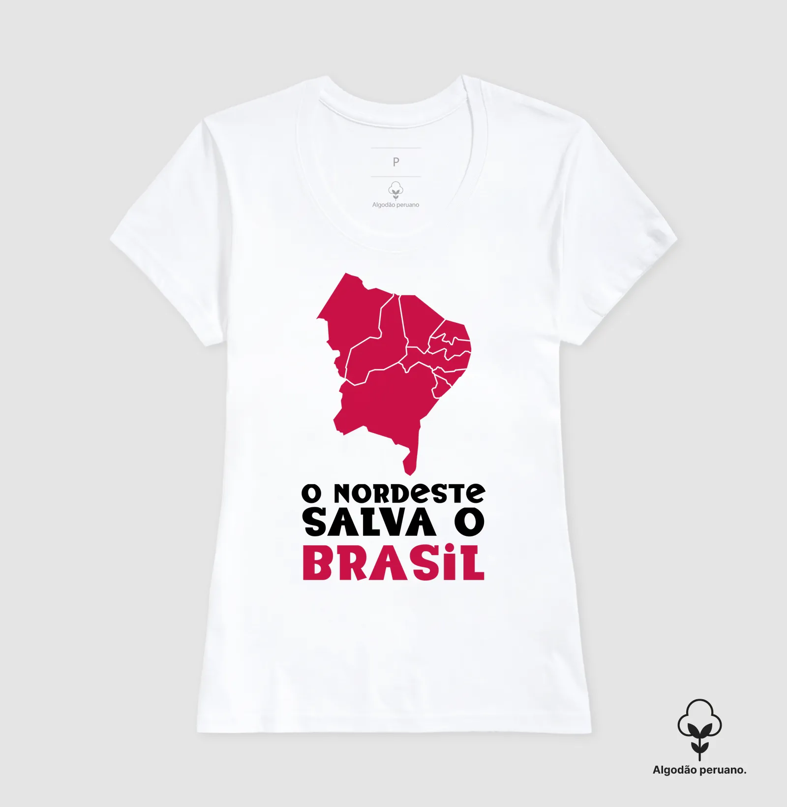 O nordeste salva o Brasil - Imagem 3