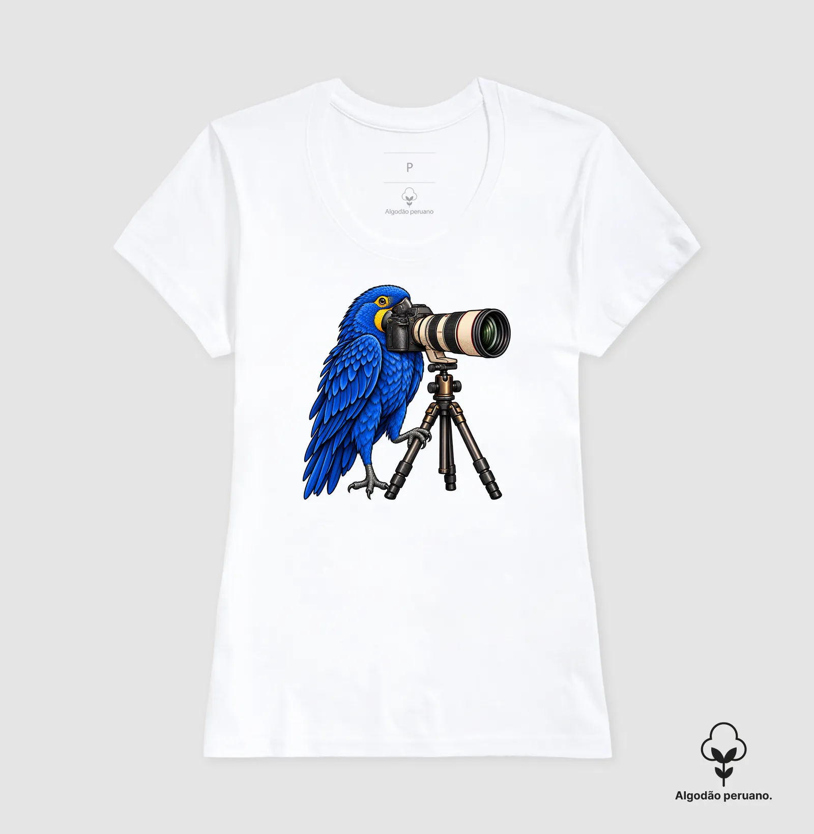 Arara azul - Imagem 6