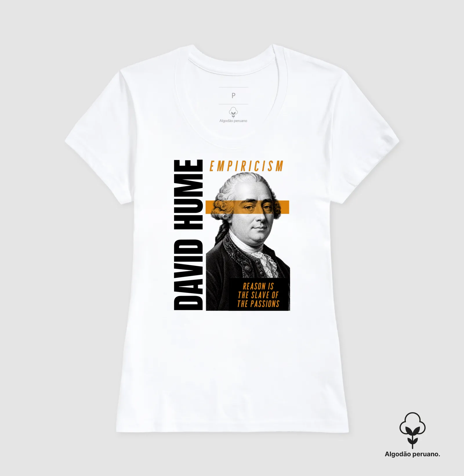 David Hume – Philosopher Kings | Empirismo - Imagem 3