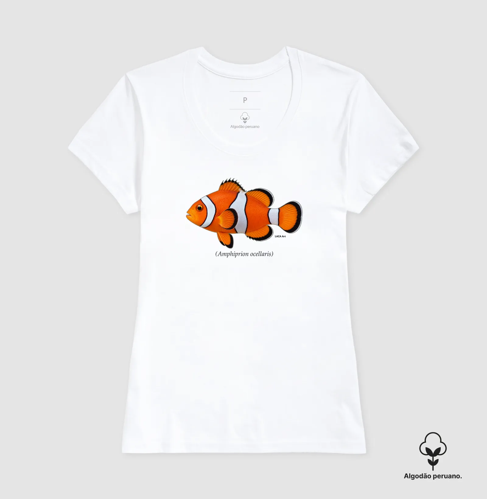Peixe-Palhaço - Imagem 4