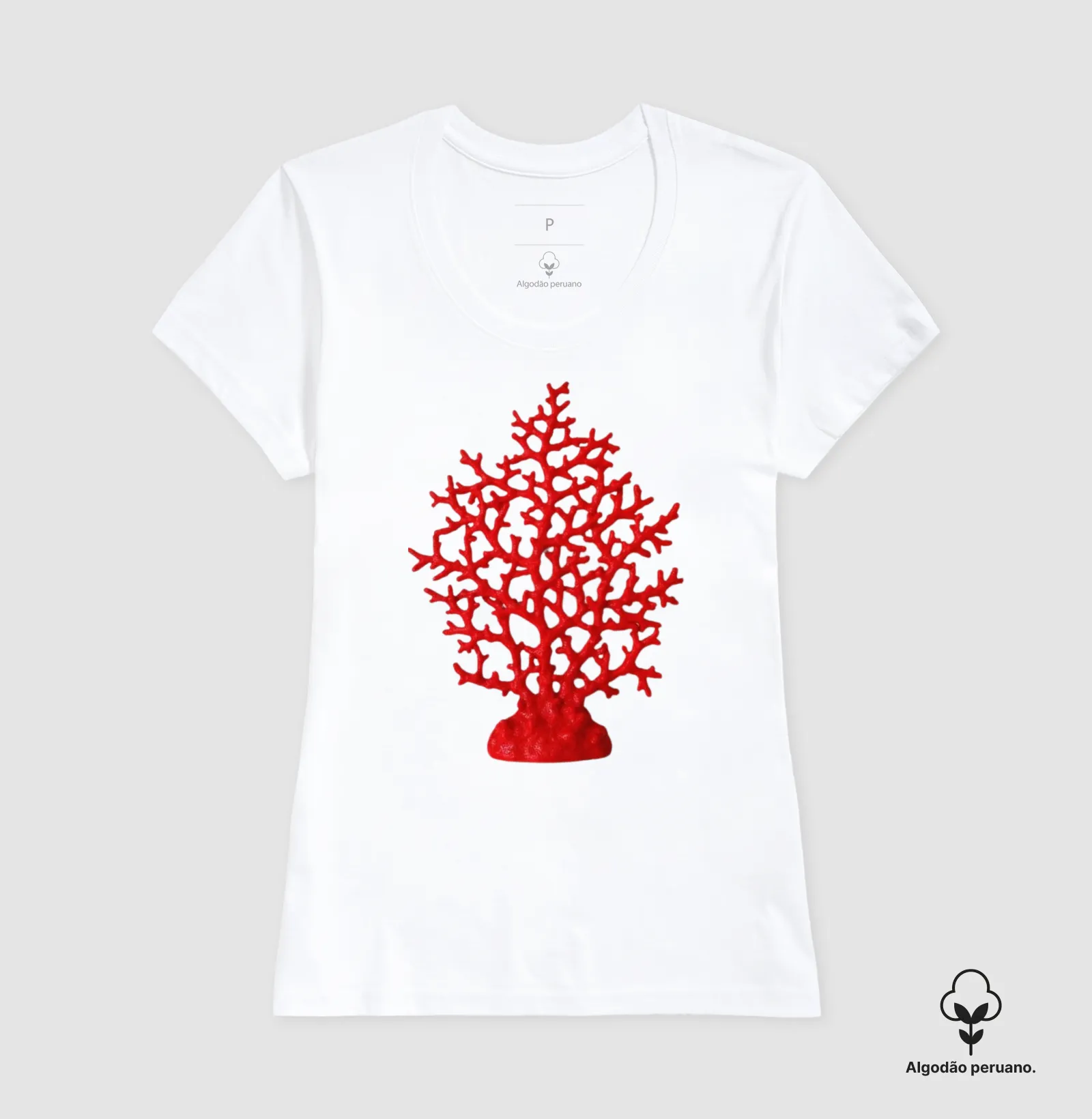 Coral  - Imagem 8