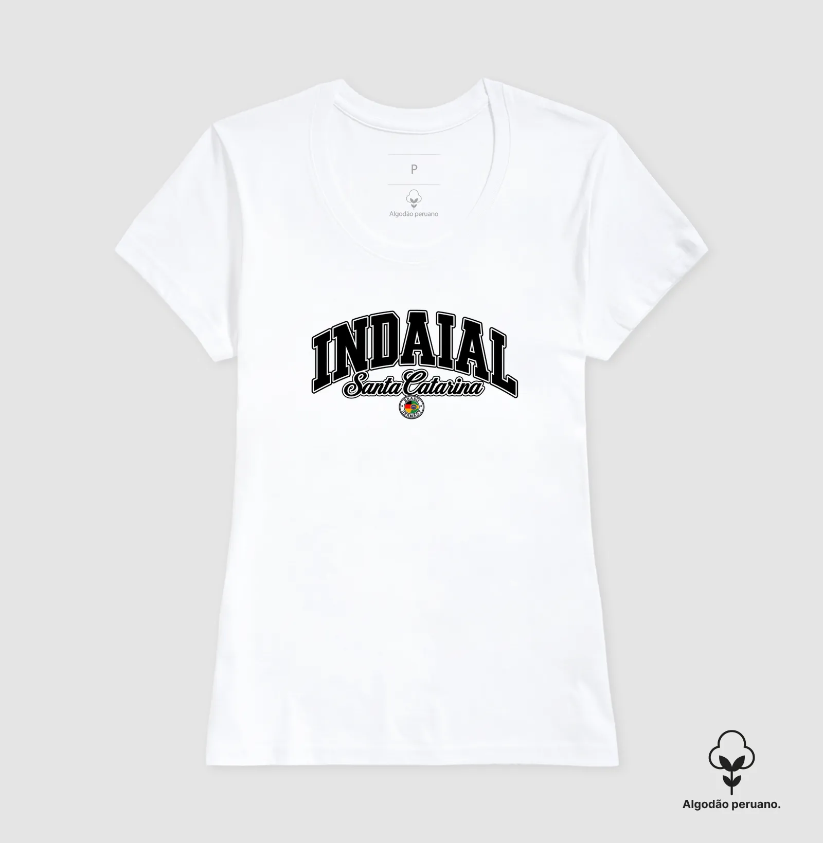Indaial – Santa Catarina - Imagem 4