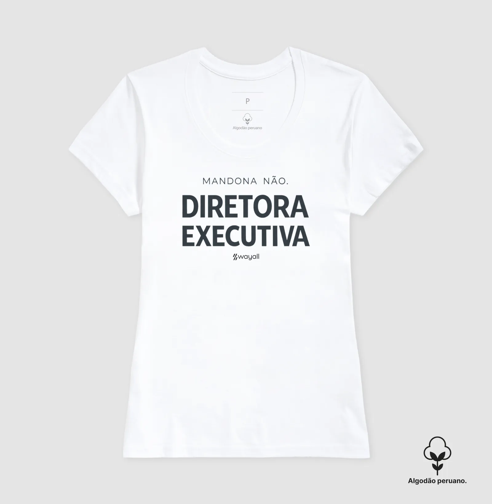Diretora executiva - Imagem 8