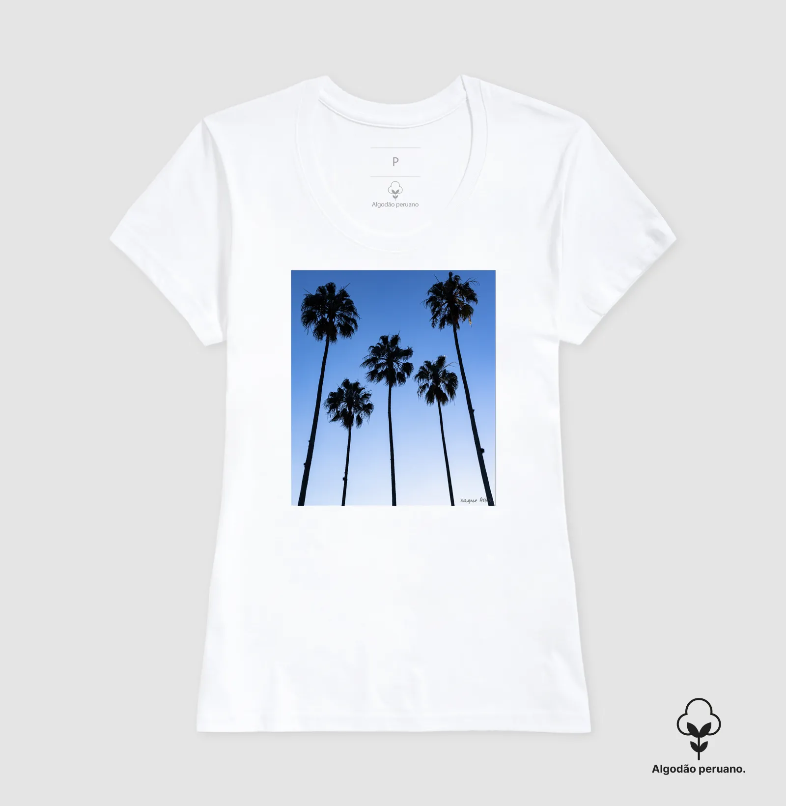 Camisa 2