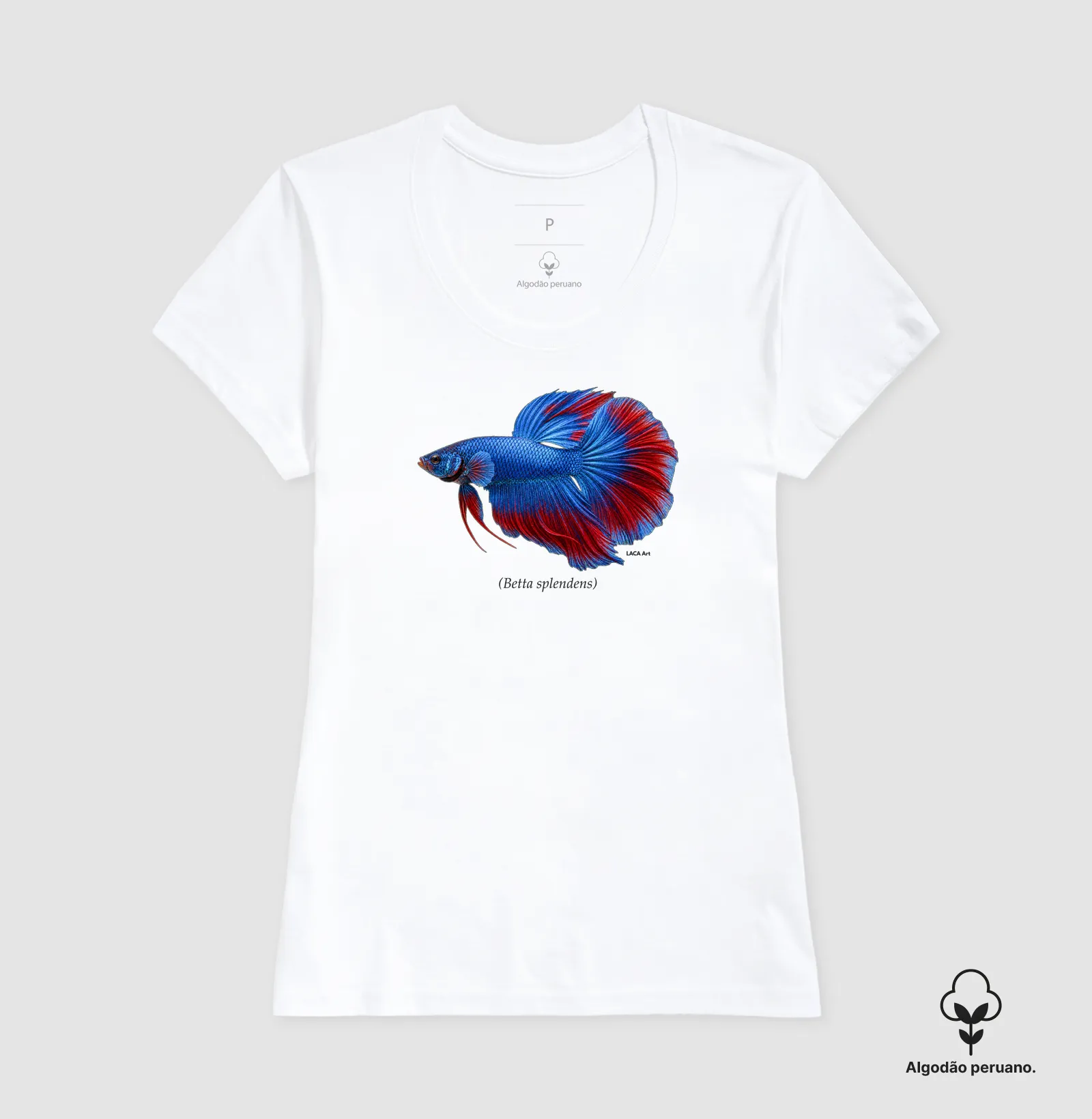 Betta - Imagem 8