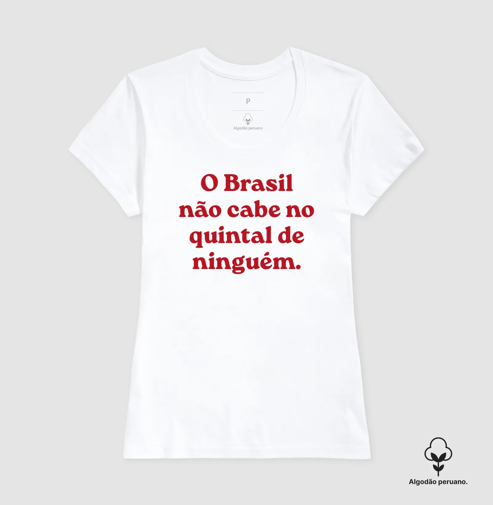O Brasil não cabe no quintal de ninguém - Imagem 5