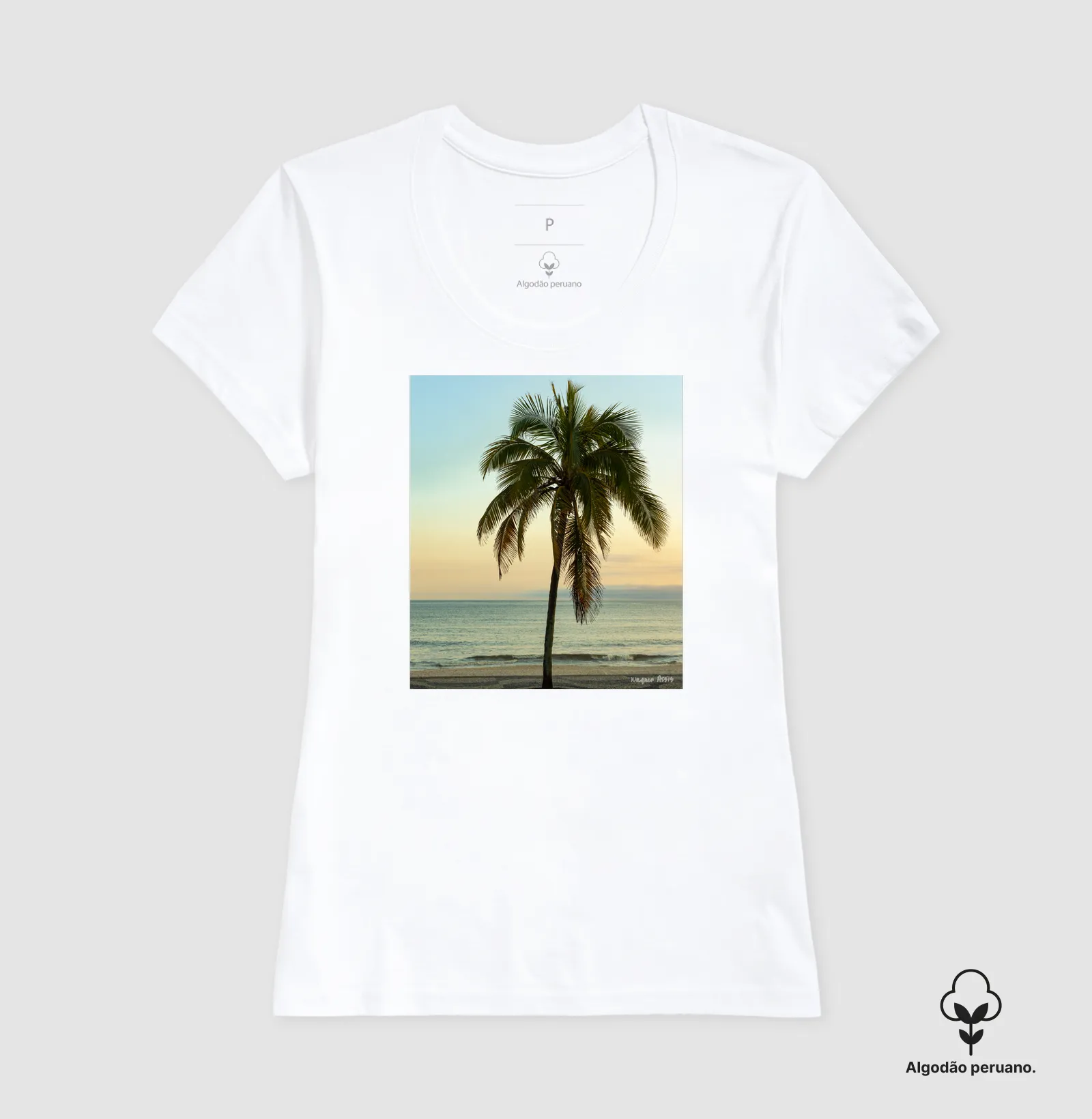 Camisa 6