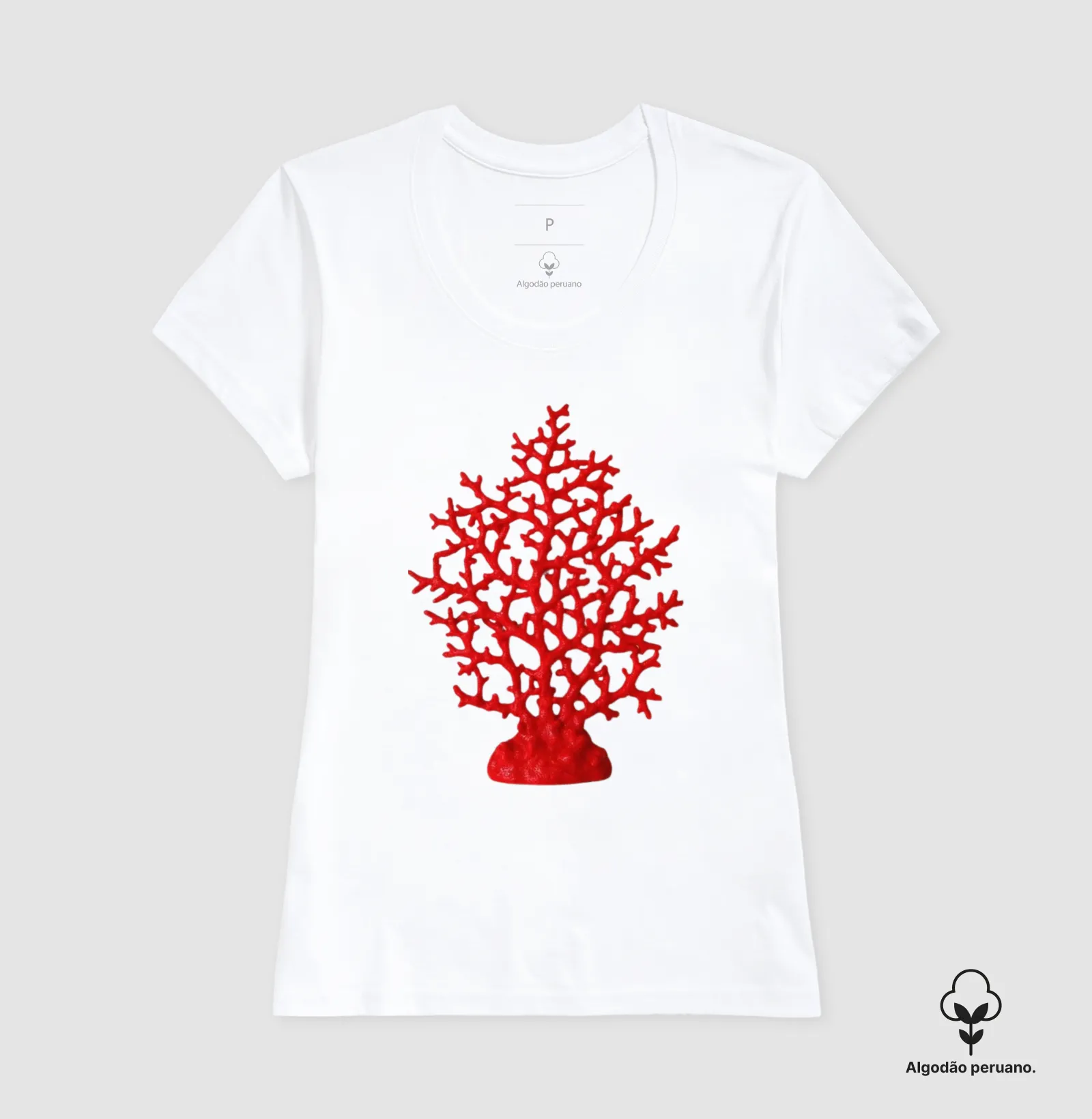 Coral - Imagem 6