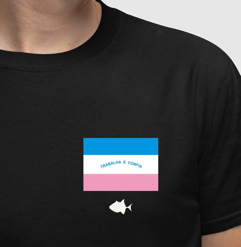 Bandeira ES Bolso - #28648