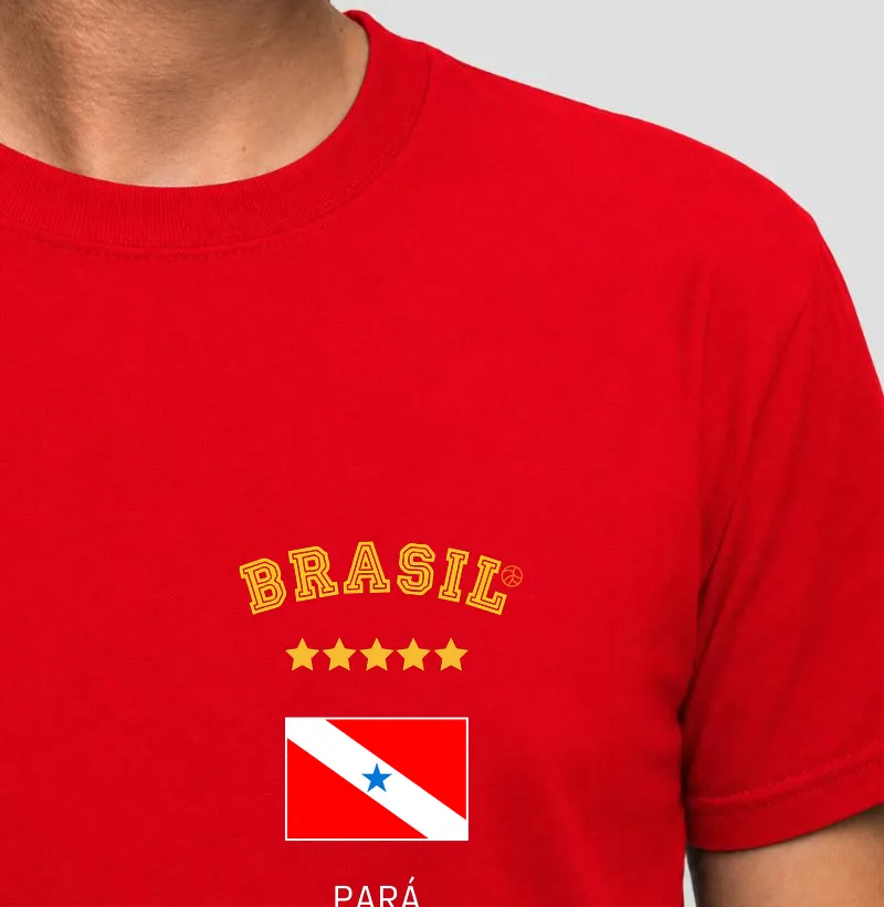 Brasil Pará (bolso)