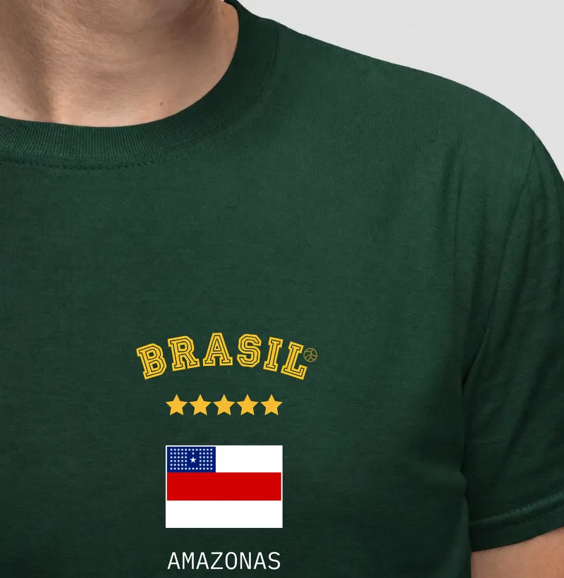 Brasil Amazonas (bolso)