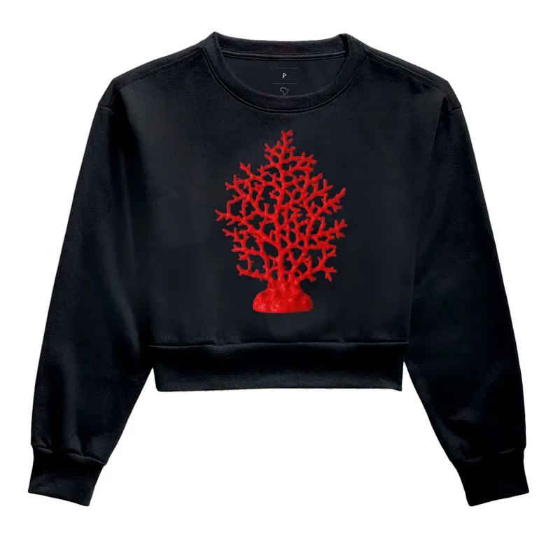 Coral  - Imagem 2