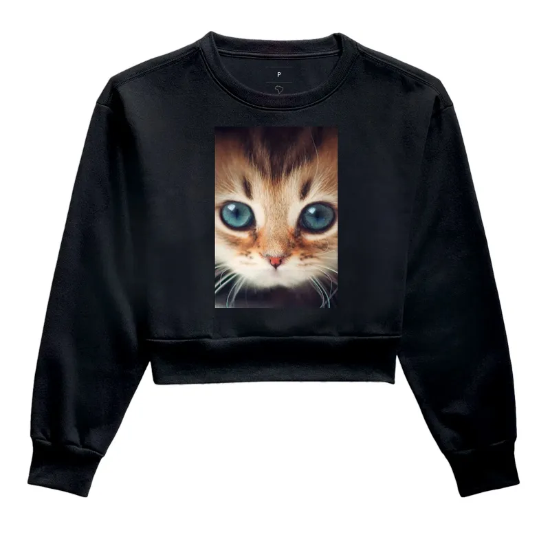 Gatinho - Imagem 2