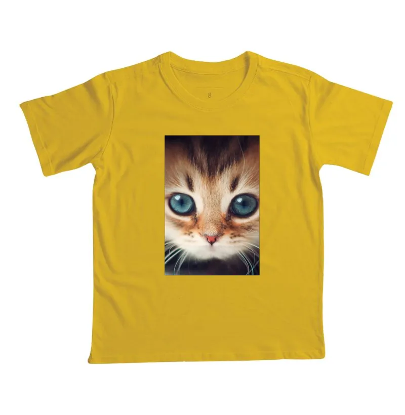 Gatinho - Imagem 3