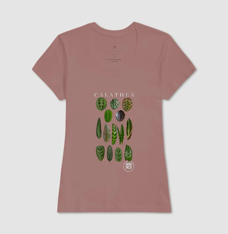 Calatheas - Imagem 15
