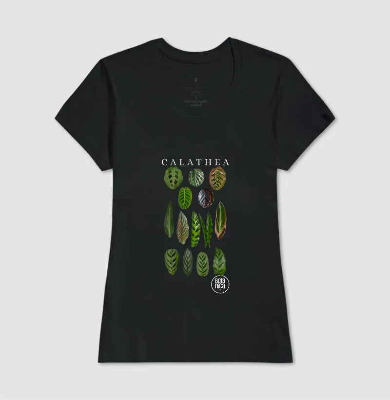Calatheas - Imagem 3