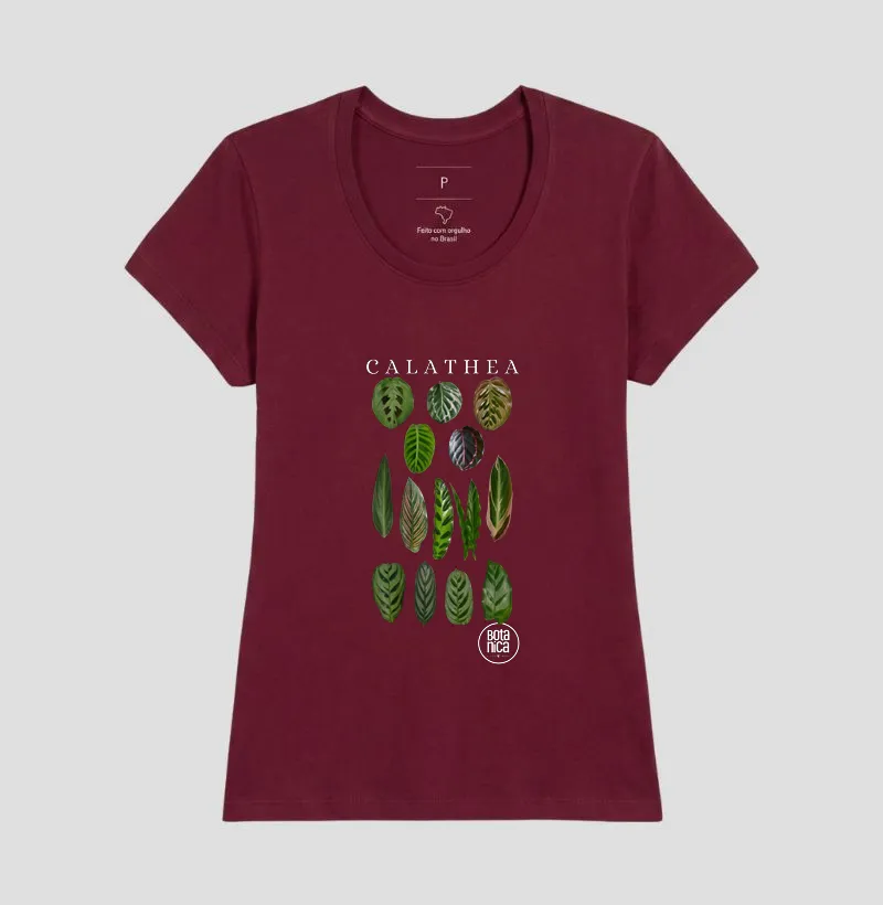 Calatheas - Imagem 17
