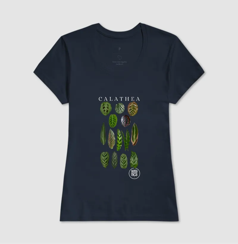 Calatheas - Imagem 7