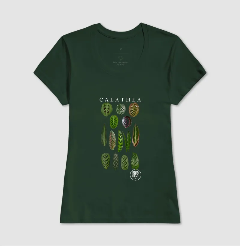 Calatheas - Imagem 11