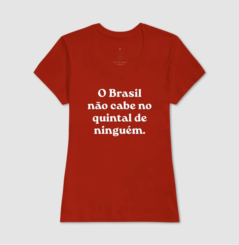 O Brasil não cabe no quintal de ninguém - Imagem 7