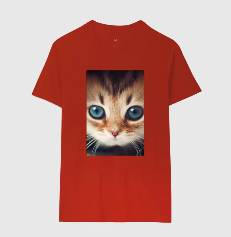Gatinho - Imagem 10