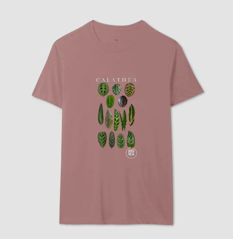 Calatheas - Imagem 14