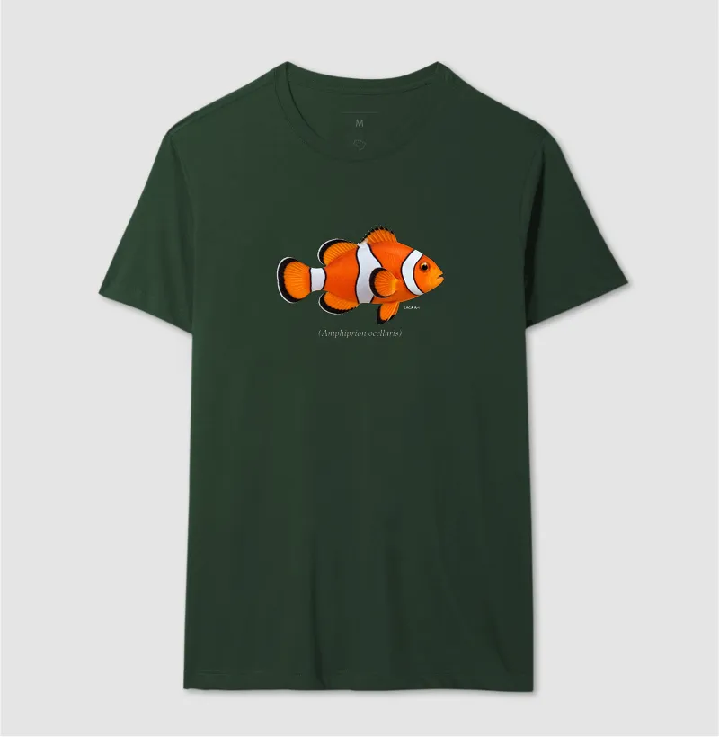 Peixe-Palhaço - Imagem 10