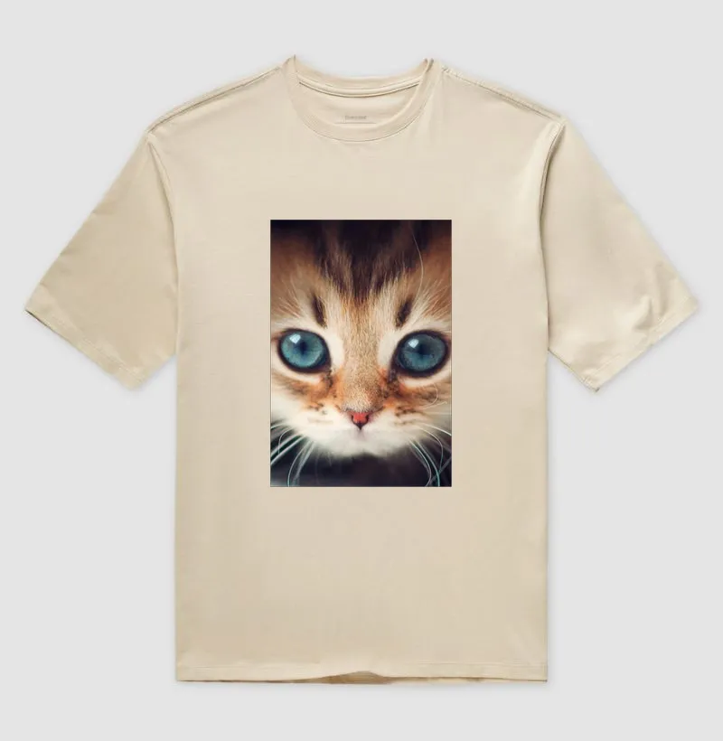 Gatinho - Imagem 3