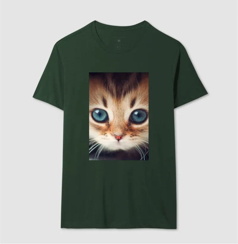Gatinho - Imagem 12