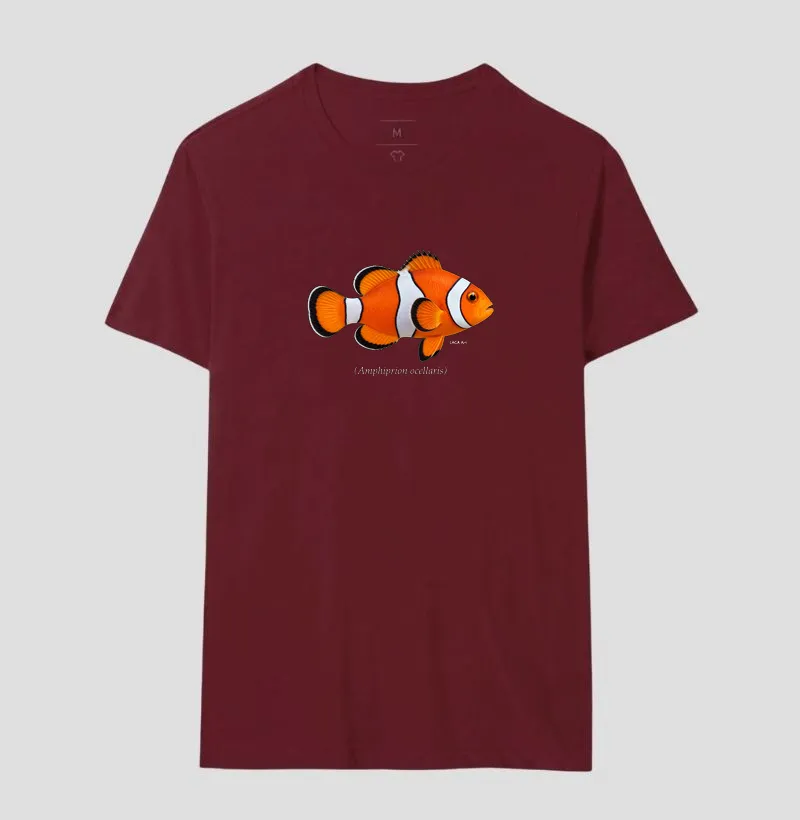 Peixe-Palhaço - Imagem 16