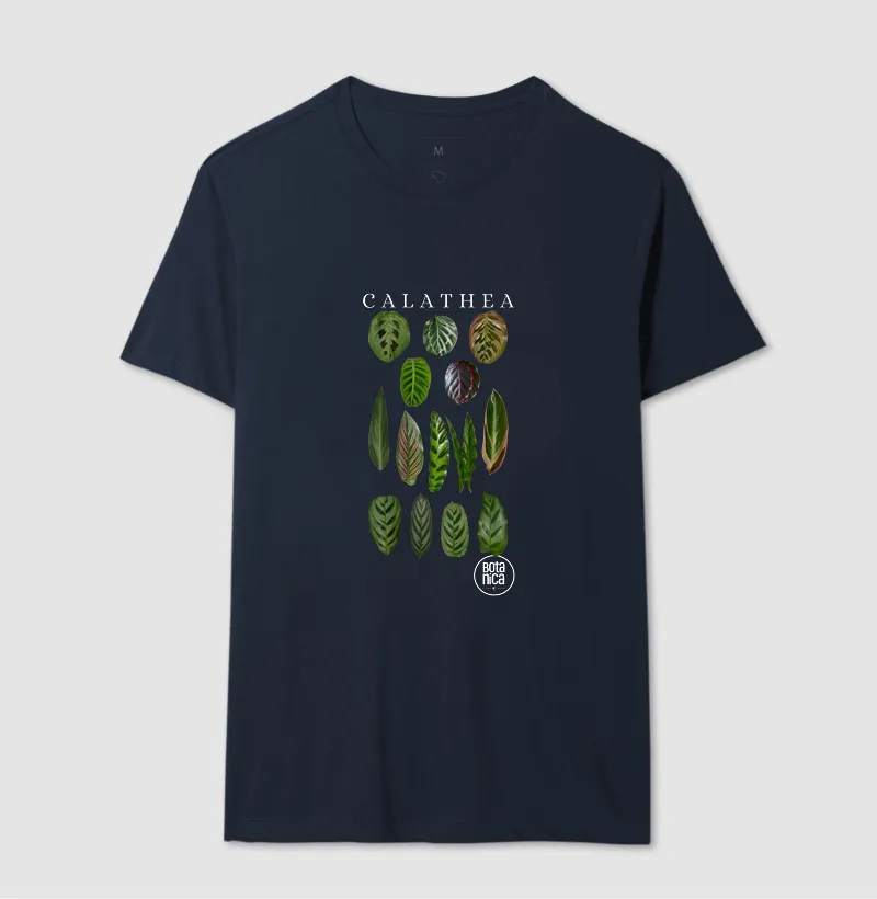 Calatheas - Imagem 6