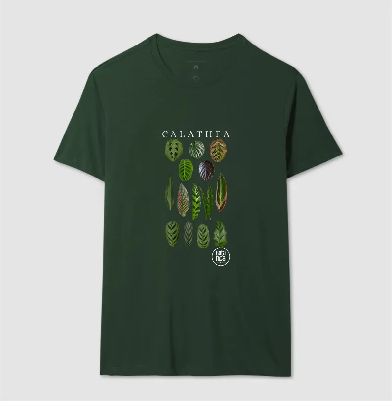 Calatheas - Imagem 10