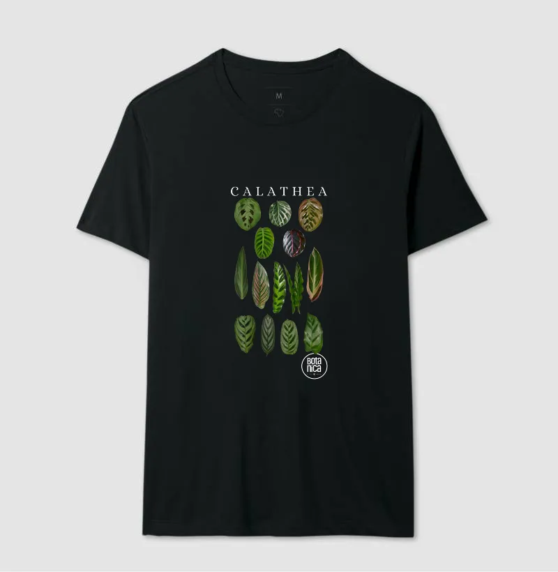 Calatheas - Imagem 2