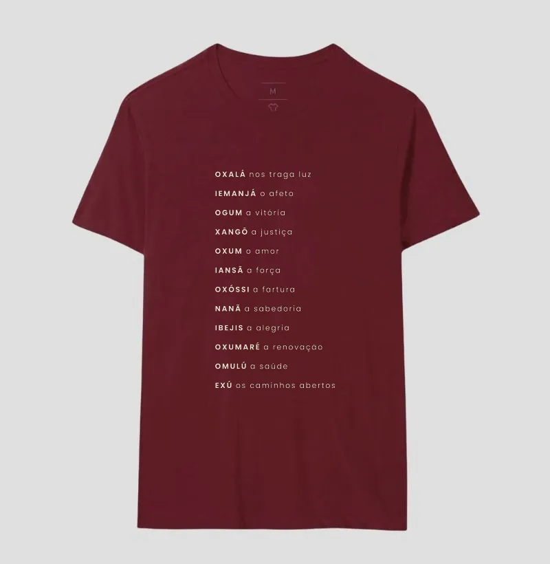Camisa 17