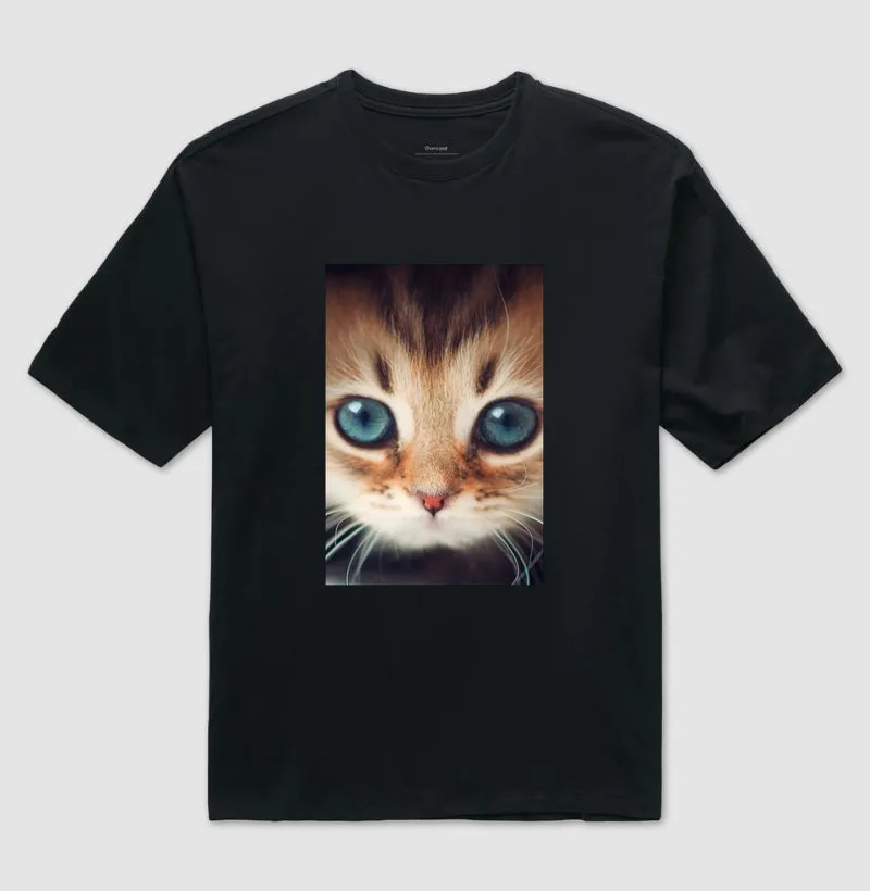 Gatinho - Imagem 2